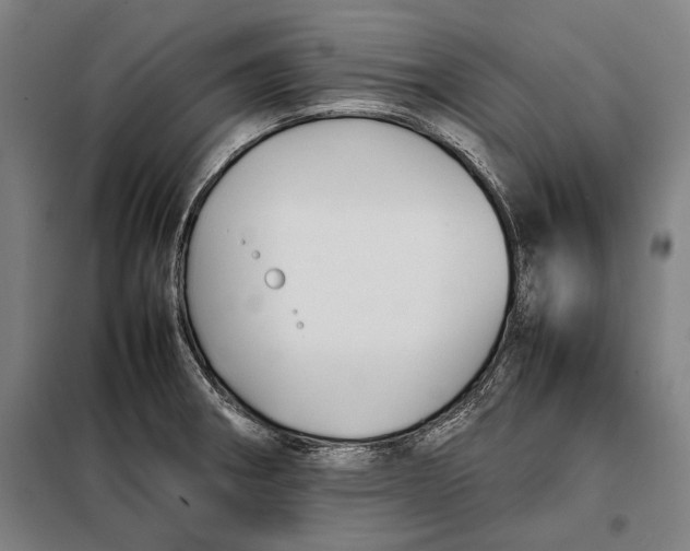 X0000097901282200804041429