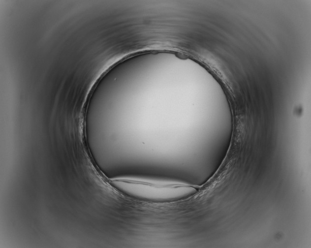 X0000097901284200804041429