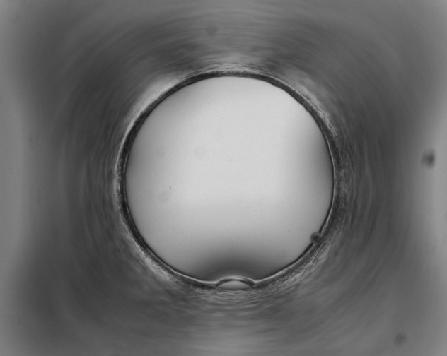 X0000097901285200804041429