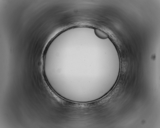 X0000097901286200804041429