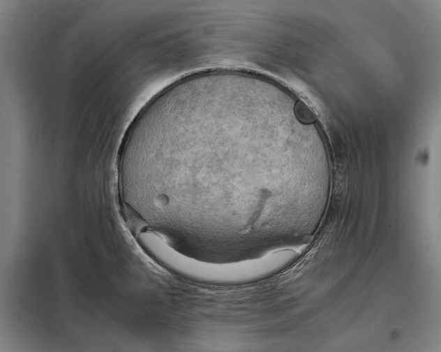 X0000097901287200804041429