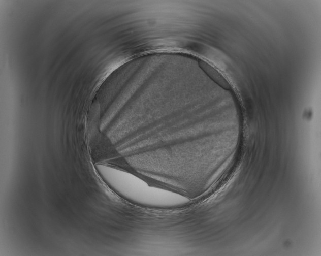 X0000097901289200804041429