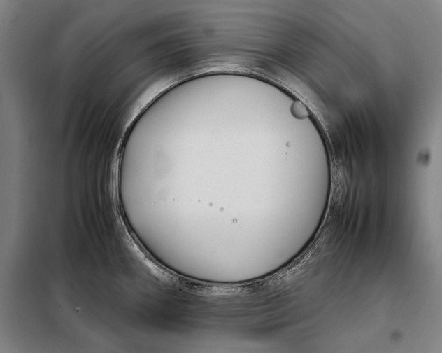 X0000097901290200804041429