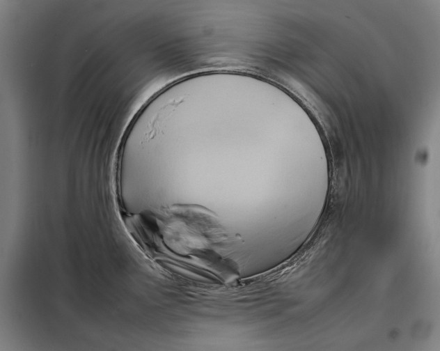 X0000097901291200804041429