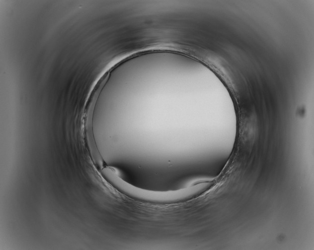 X0000097901292200804041429