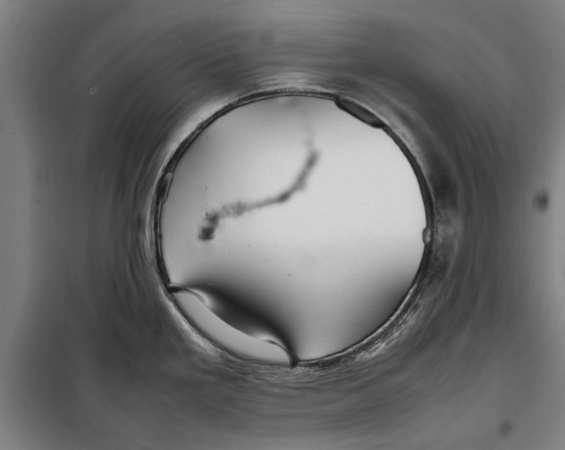 X0000097901293200804041429