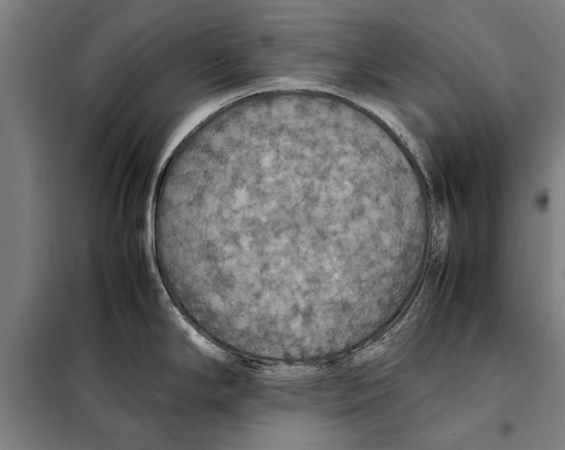 X0000097901294200804041429