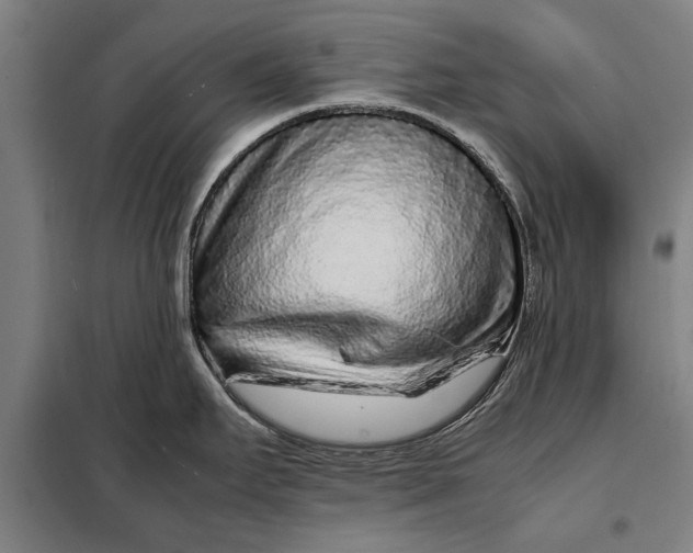 X0000097901295200804041429