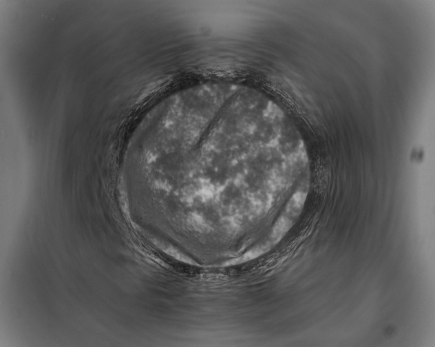 X0000097901297200804041428