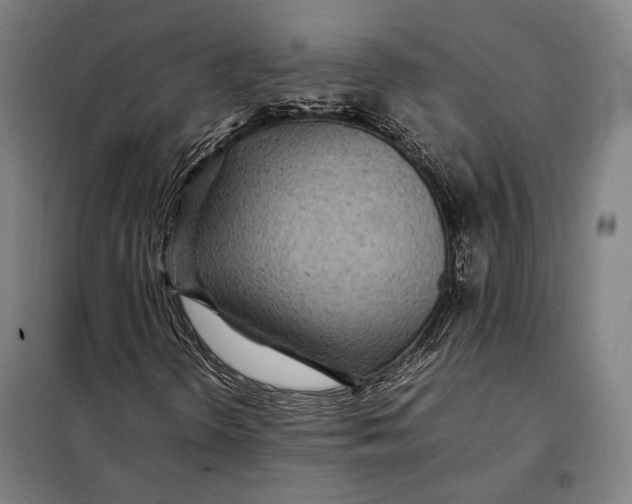 X0000097901298200804041428