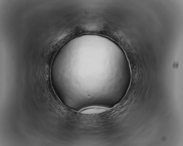 X0000097901301200804041428