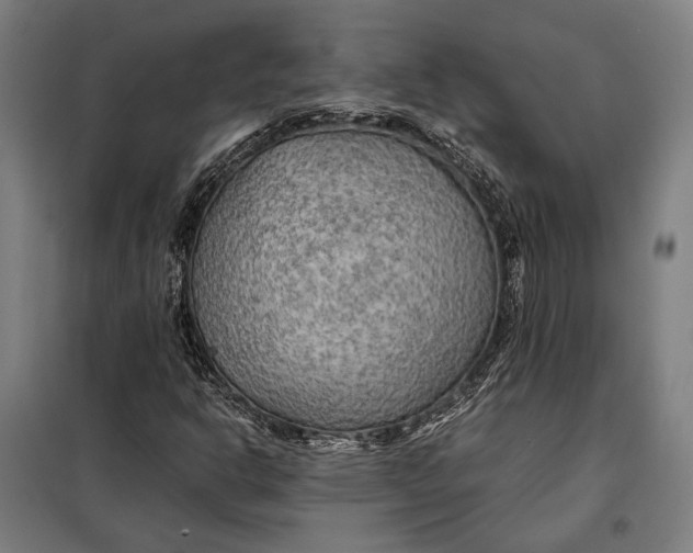 X0000097901302200804041428