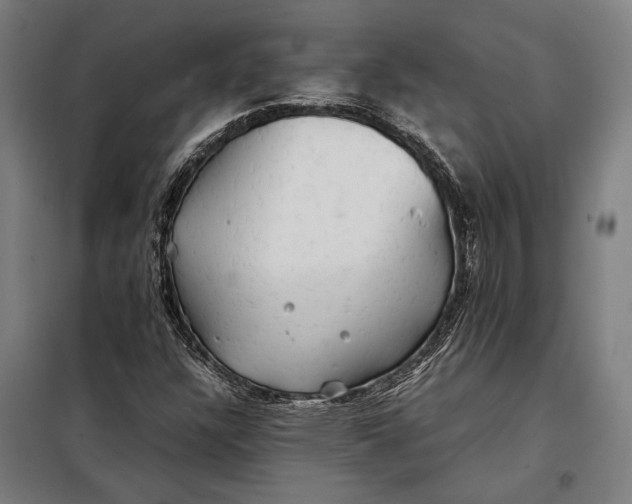 X0000097901304200804041428