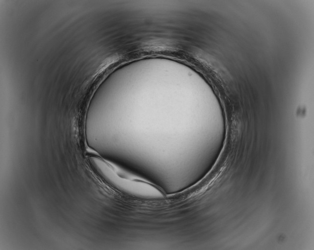 X0000097901305200804041428