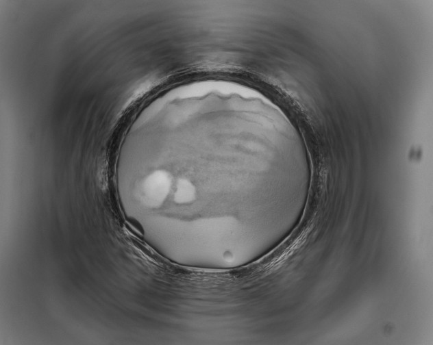 X0000097901306200804041428