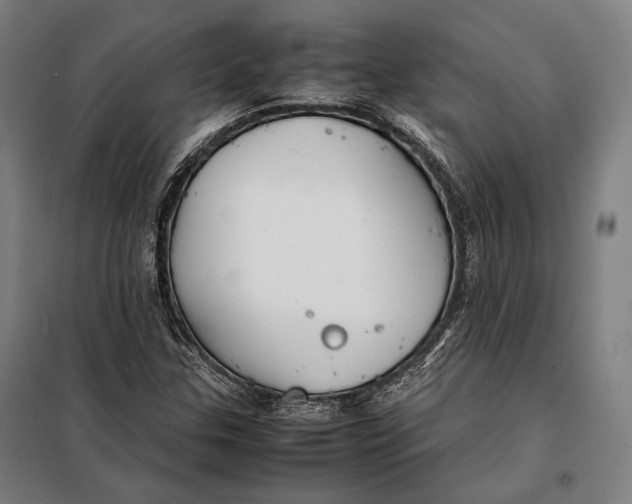 X0000097901307200804041428