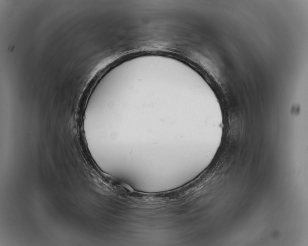 X0000097901308200804041428