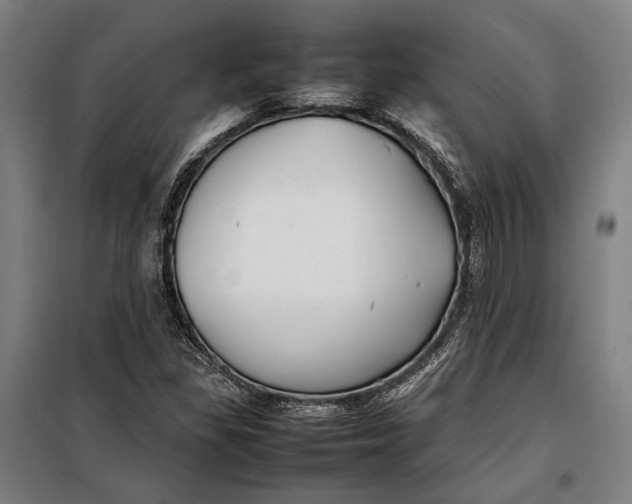 X0000097901309200804041428