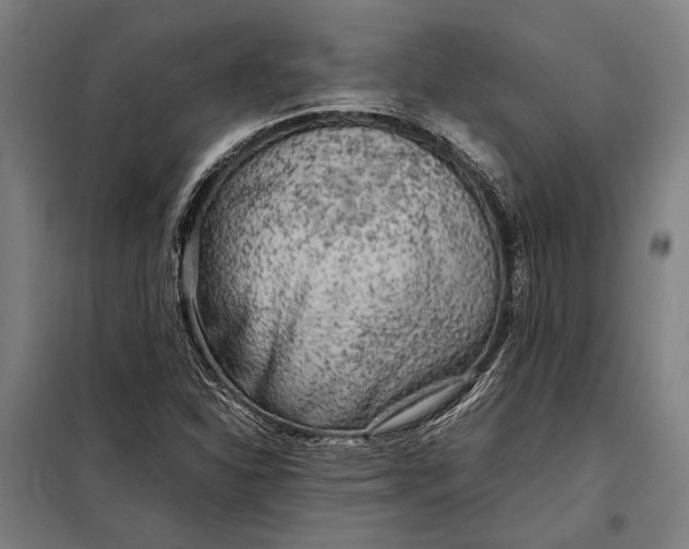 X0000097901310200804041428