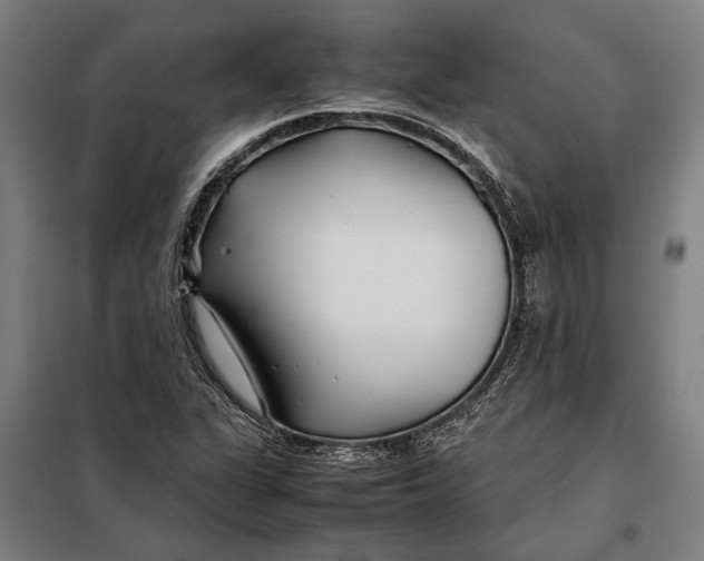 X0000097901311200804041428