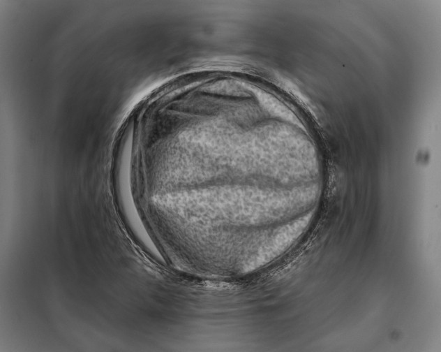 X0000097901312200804041428