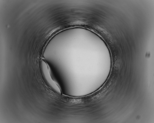 X0000097901313200804041428