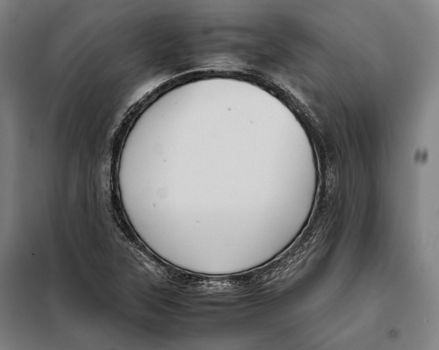 X0000097901315200804041428