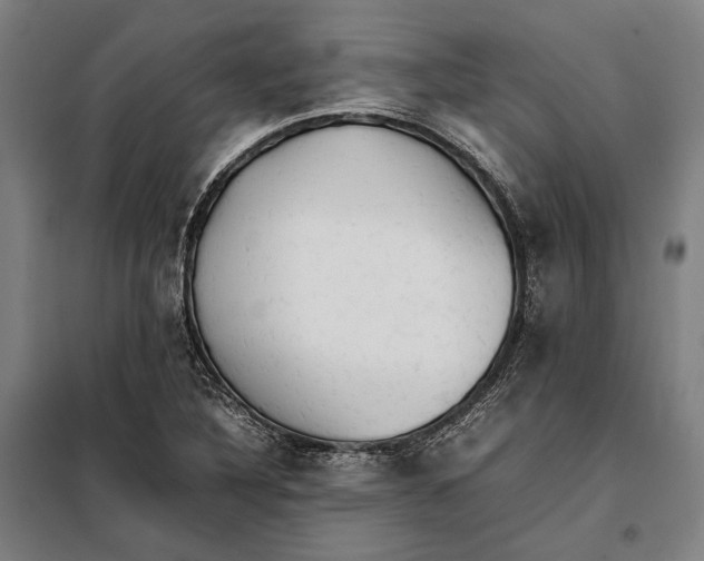 X0000097901316200804041428