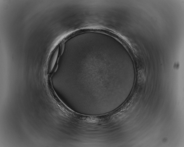 X0000097901319200804041428