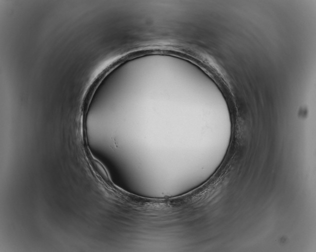 X0000097901320200804041428