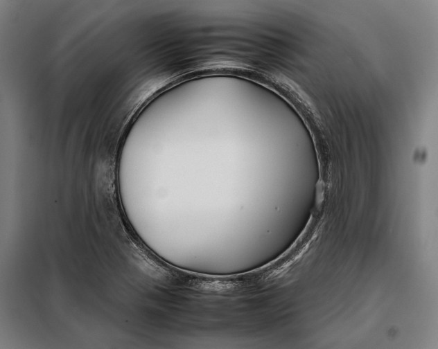 X0000097901321200804041428