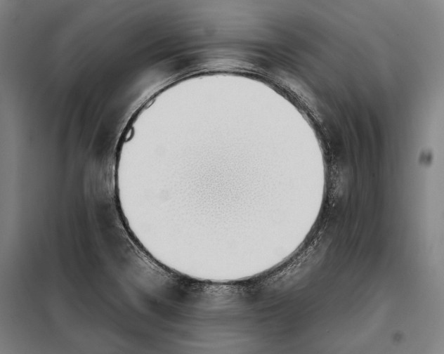 X0000097901322200804041428