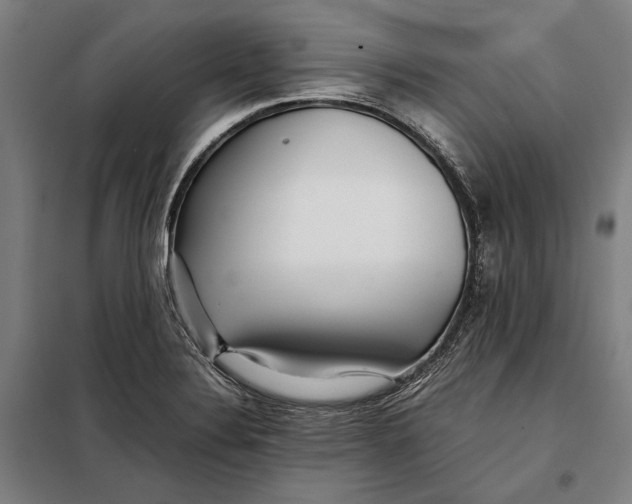 X0000097901324200804041428