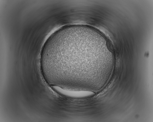 X0000097901325200804041428