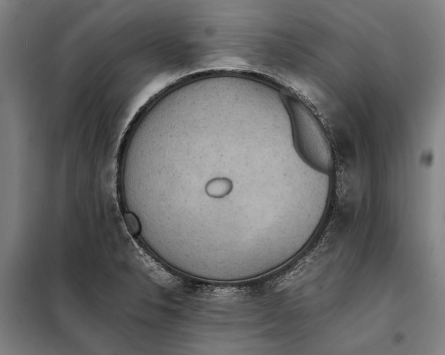 X0000097901326200804041428