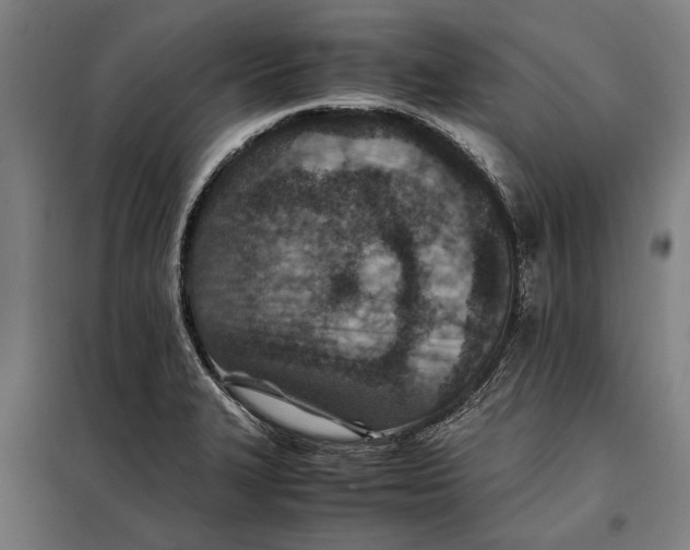 X0000097901327200804041428