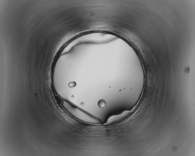 X0000097901328200804041428