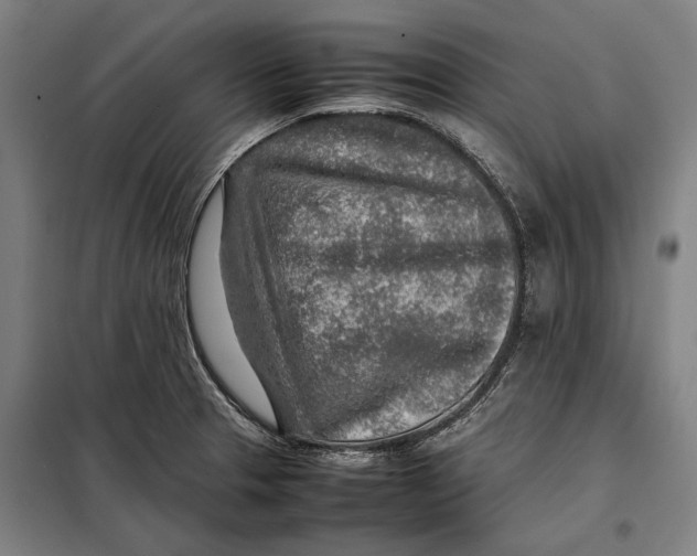 X0000097901329200804041428