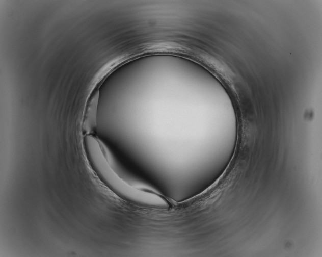 X0000097901330200804041428