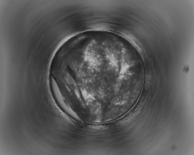 X0000097901331200804041428