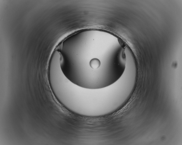 X0000097901332200804041428