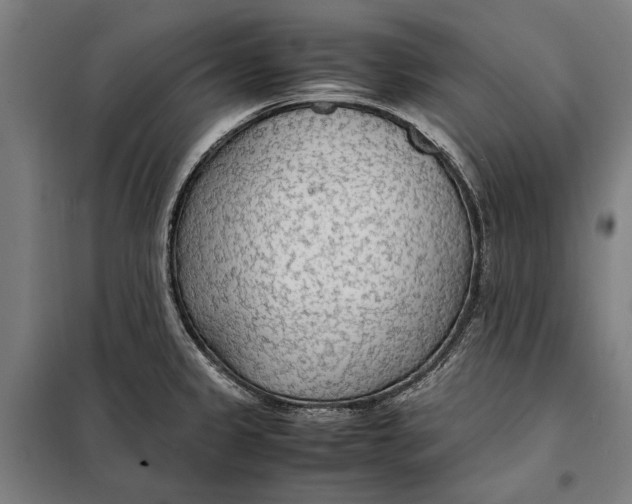 X0000097901333200804041428