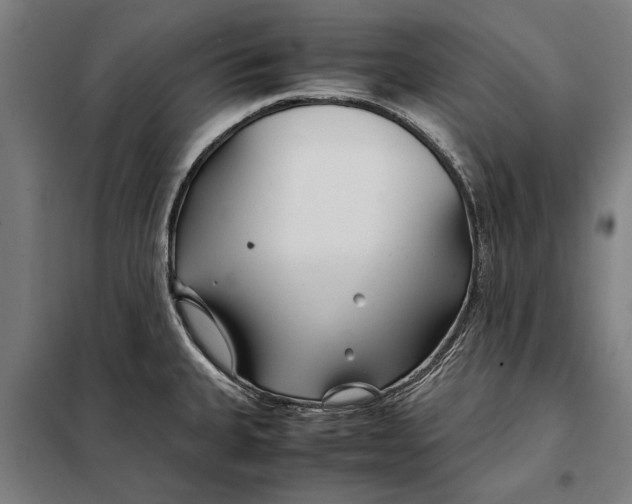 X0000097901335200804041429