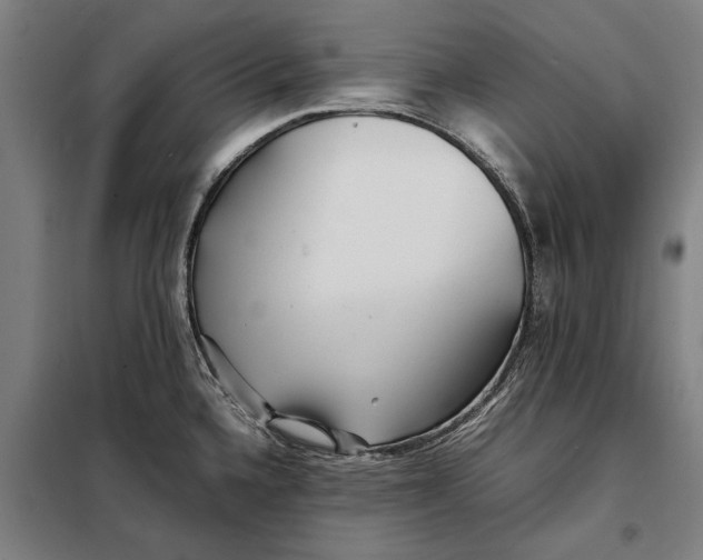 X0000097901336200804041429