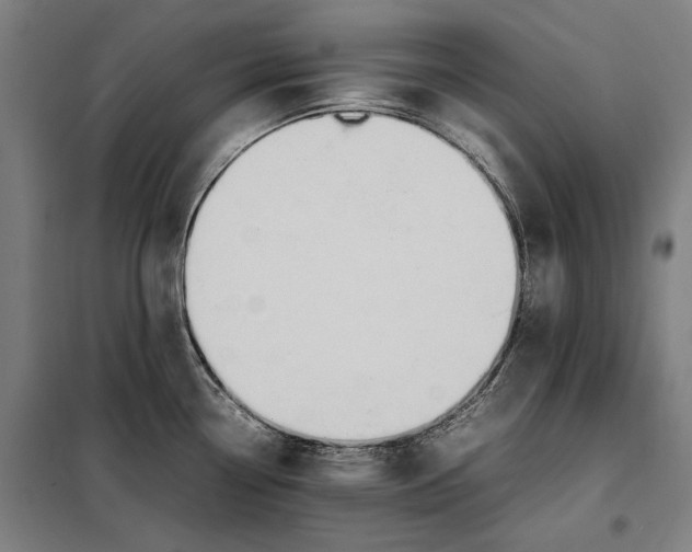 X0000097901338200804041429