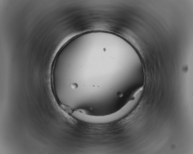 X0000097901339200804041429