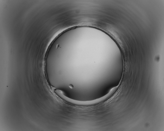 X0000097901340200804041429