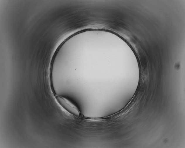 X0000097901343200804041429