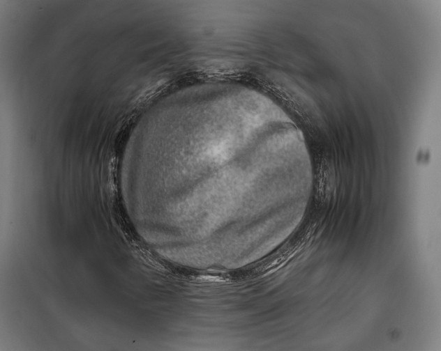 X0000097901346200804041428