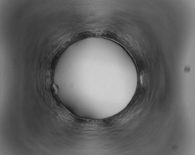 X0000097901347200804041428